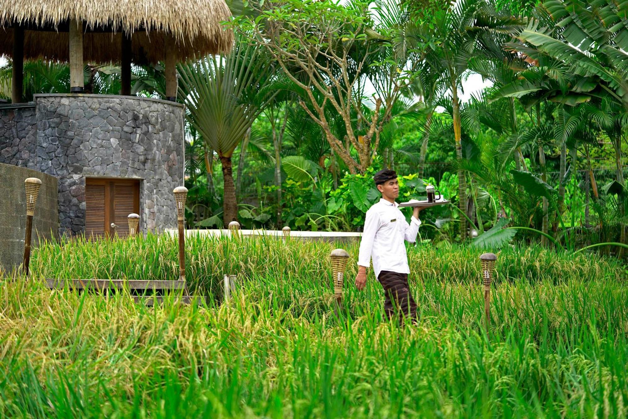 Lalasa Villas Canggu Eksteriør billede